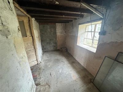 Picture 19